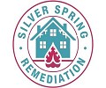 Silver Spring Remediation